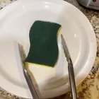 Cursed_sponge