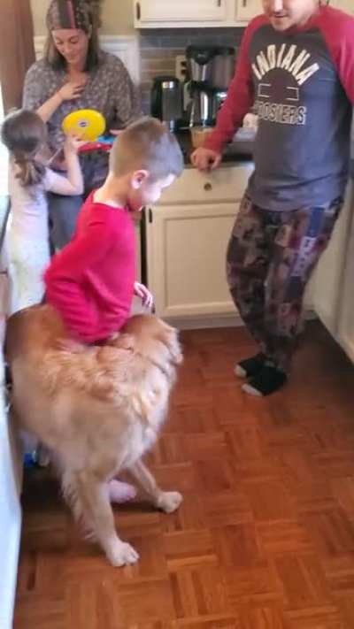 Dog belt (+20 groove) (+10 cuteness) (+5 persistence) (-40 control of movement)