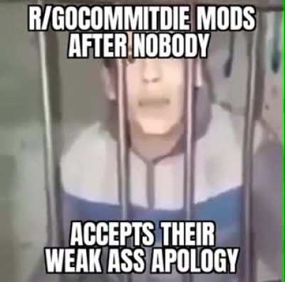 Thanks again u/flying_melon69