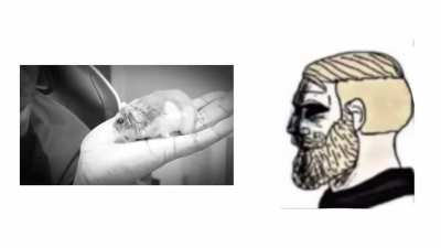 mann
