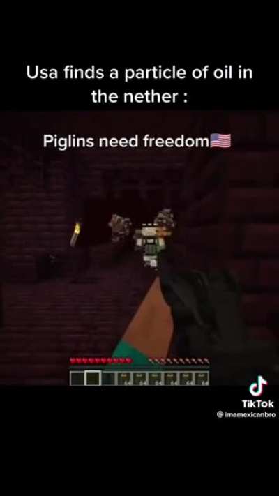 USA_nvr