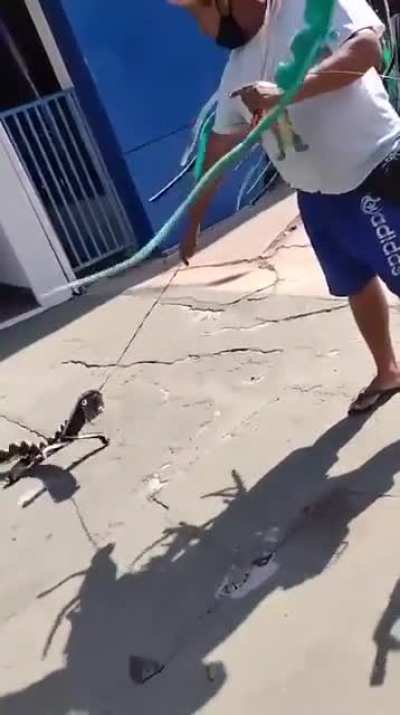 meanwhile on the streets (I think Brazilians)