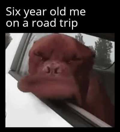 I loved doing that