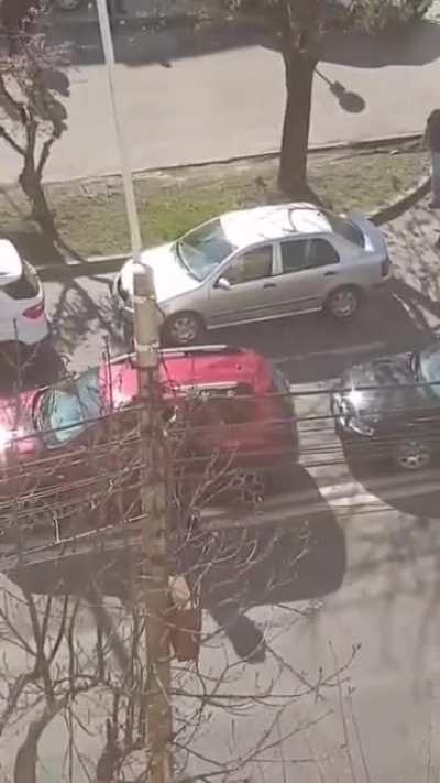 Trenchcoat warrior armed with a pike attacks random cars in Romania
