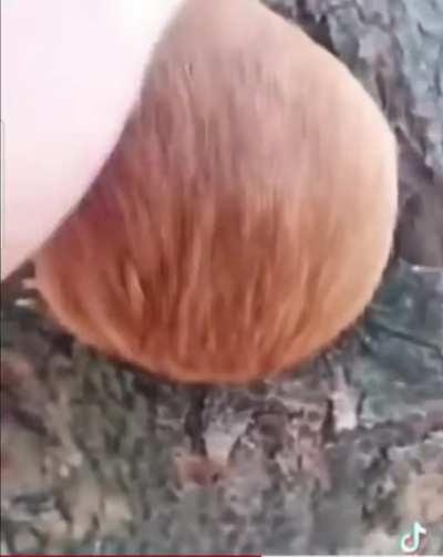 🤨🤨🤨