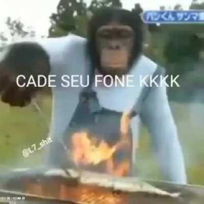 muito bom