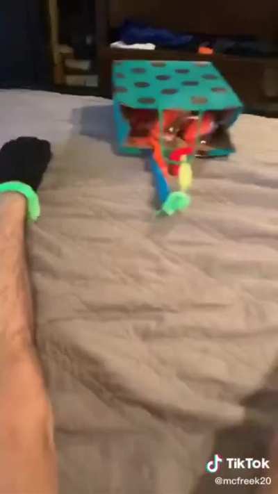 This guy really likes his worms...