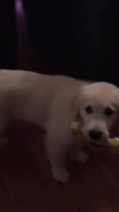 1 second clips of my boy growing up- 8 weeks to 2 years old