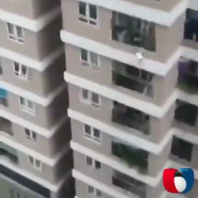 Vietnamese driver hailed as hero for catching girl who fell from balcony