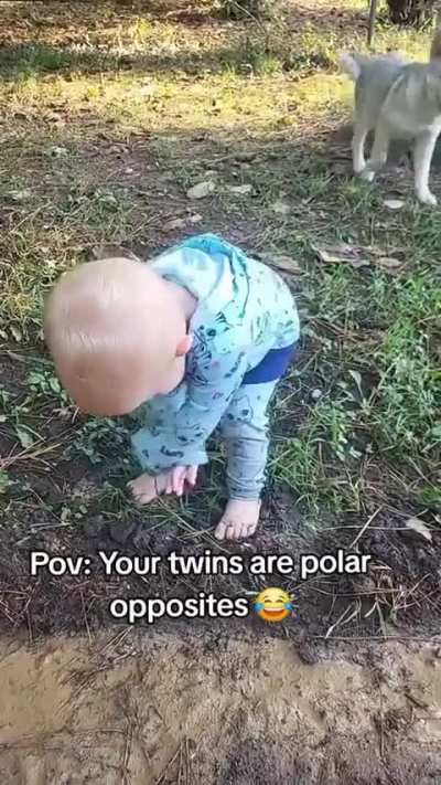 Opposite twins