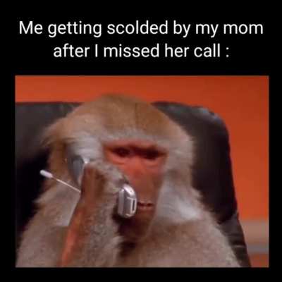I'm sorry mom