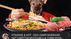 Allah Dog Eating Pork!!!!!........ WOW FREE ANUS 2بهبهفبهفVIRUS FREE ANTIVURS ONL٩٩٩٩ ؛٨٦:٥٨:٨٥جهبحتبخغبخغبخغبخغب Nللعب غيفهبهفبهغبهغبغهNUIERIA !!!!!!! WOWلهغبهابهلطخغبغهبغخبهغ?