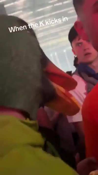 What the duck?