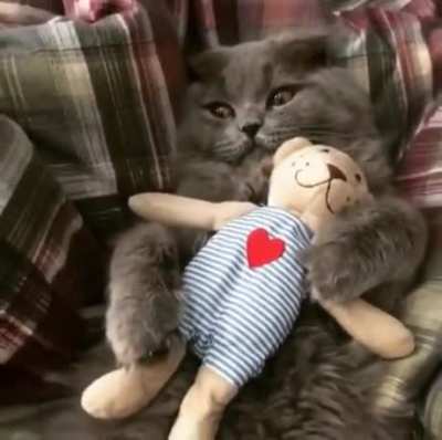The Boy Is Mine