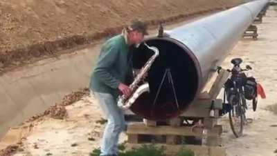 The sax 