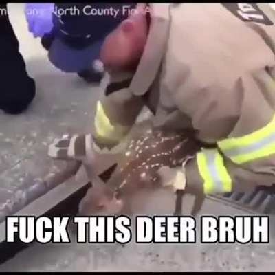 Bruh