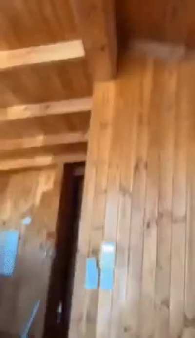 Run rat ,run