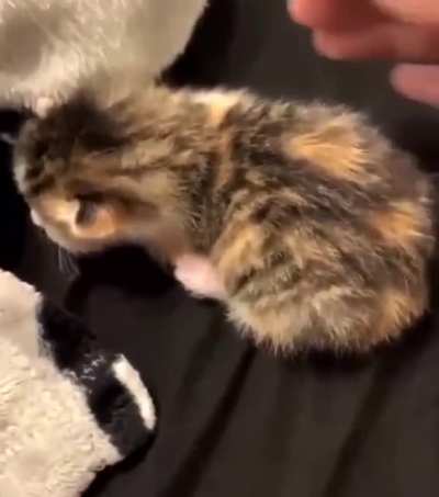 Don’t touch mee!