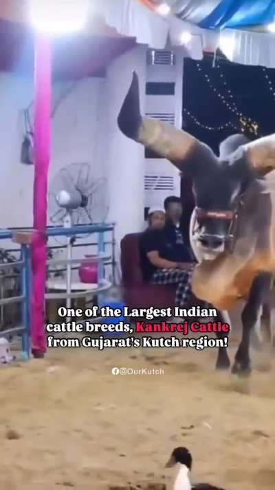 India's final boss