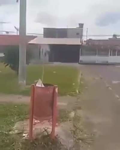 adeus rato