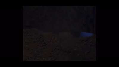 Jurassic park being cringe af for 30 seconds or less