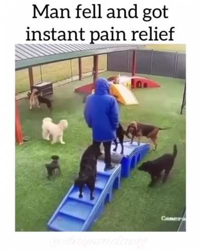 I want this job.