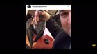 animal abuser got whats coming to him