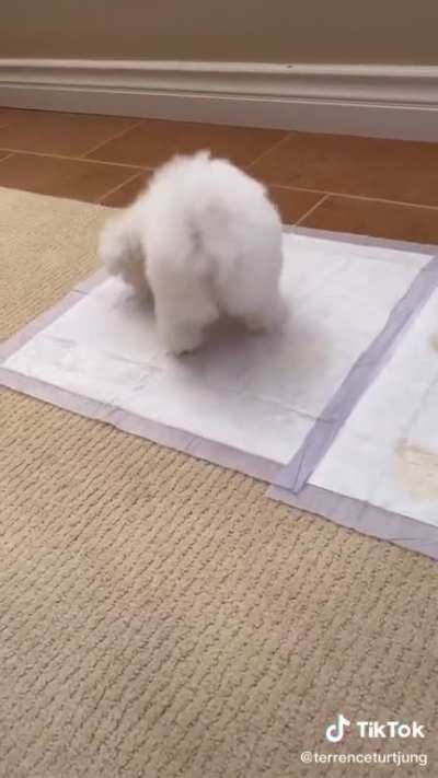 PEE PEE
