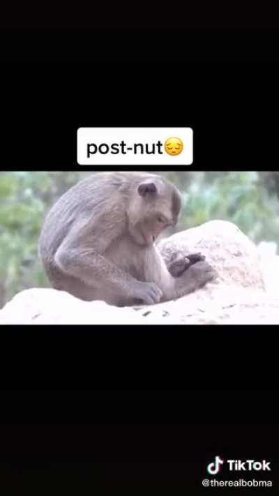 4 male moodz