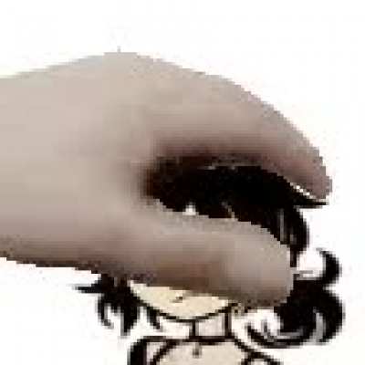Petting Ashley