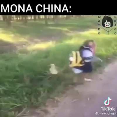 Mona china
