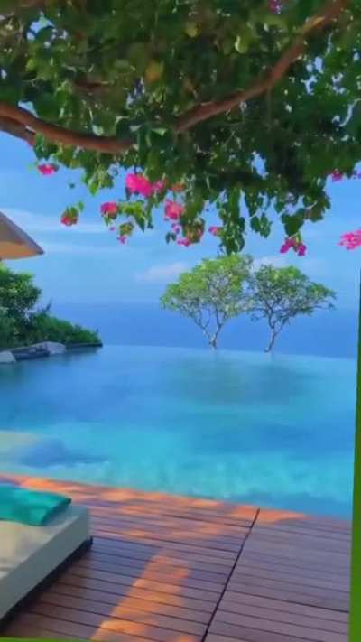 🌲🌳🌴🍀💙