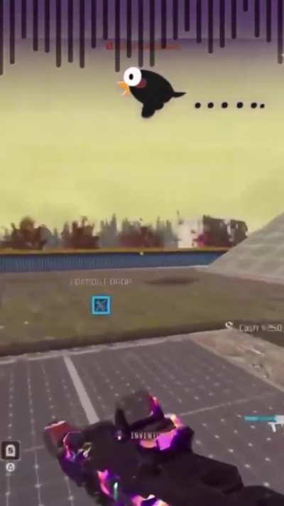Warzone Ghillie Suit Bug Is Driving Me Insane! 😂