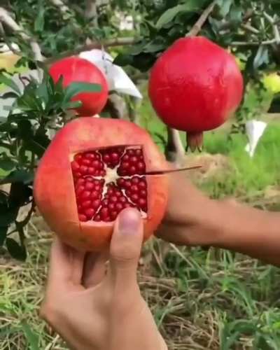 Как эффективно нарезать гранат.