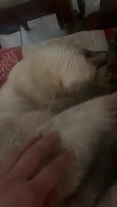 Hi