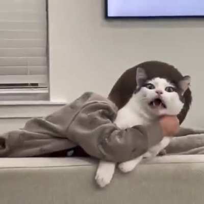Help me, Linda!