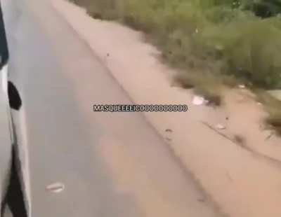 masqueico