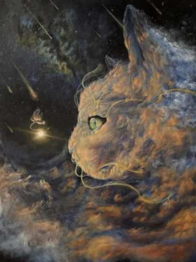 The Mysterious 'Space Cat'...