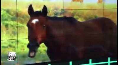 Alex Jones turns into a horse lmao