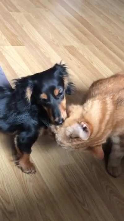 Bath time, sister.