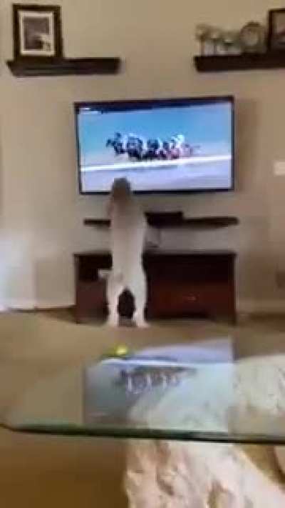 This is adorable and funny at the same time.