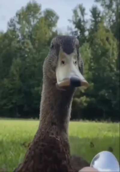 spooooned