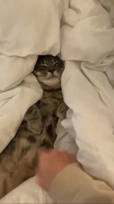 Good morning guys