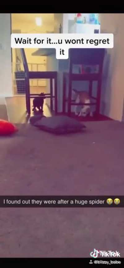 Wait for it...