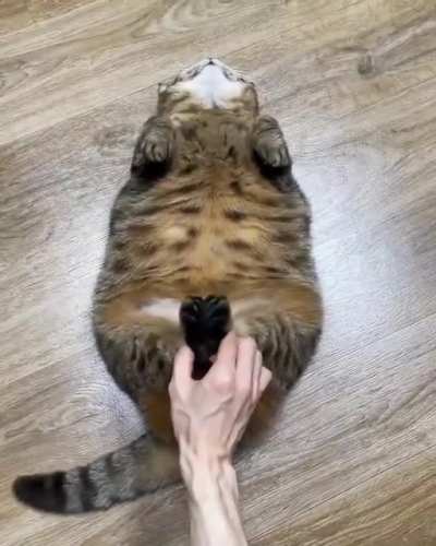 Отличное упражнение