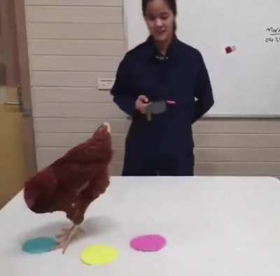 Maybe Maybe Maybe