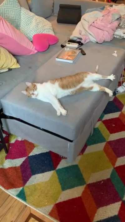 Transforming loaf