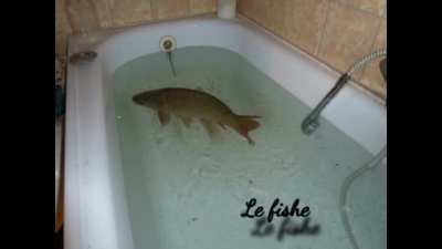 Le Gaubule