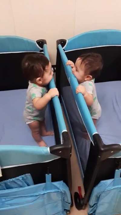 Distracted by the mirror