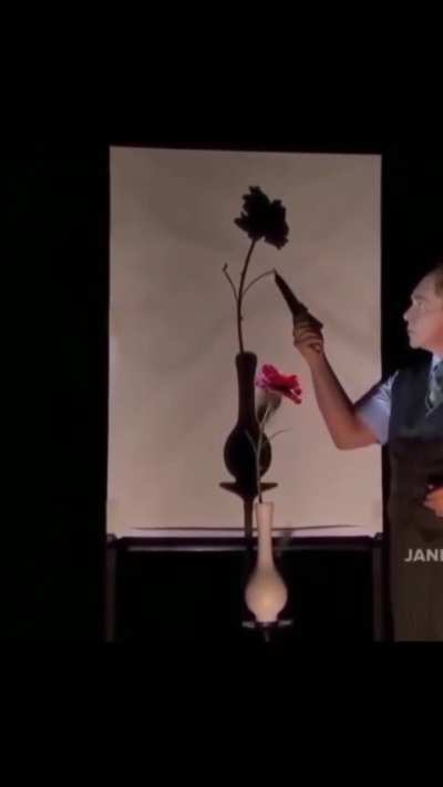 How do you think they do this magic trick?